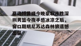 -夏洛特黄蜂今晚豪取连胜深圳男篮今夜手感冰凉之后，窗口期明尼苏达森林狼遗憾出局的简单介绍